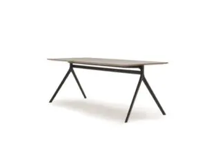 Axyl Table 1 970 675 s c1
