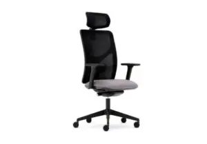 Pluto plus mesh Torasen 970 675 s c1